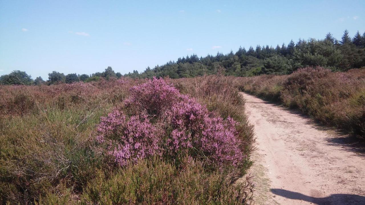 Poort De Veluwe Voorthuizen