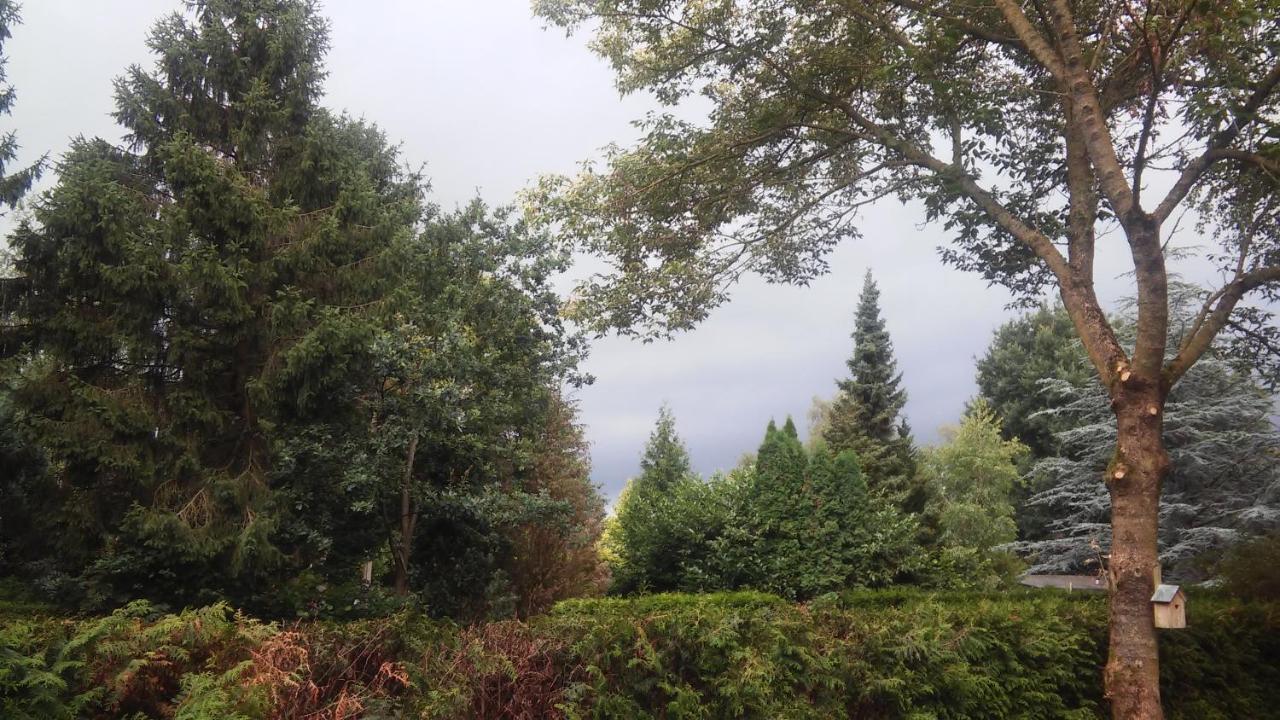 Poort De Veluwe Chalet Voorthuizen