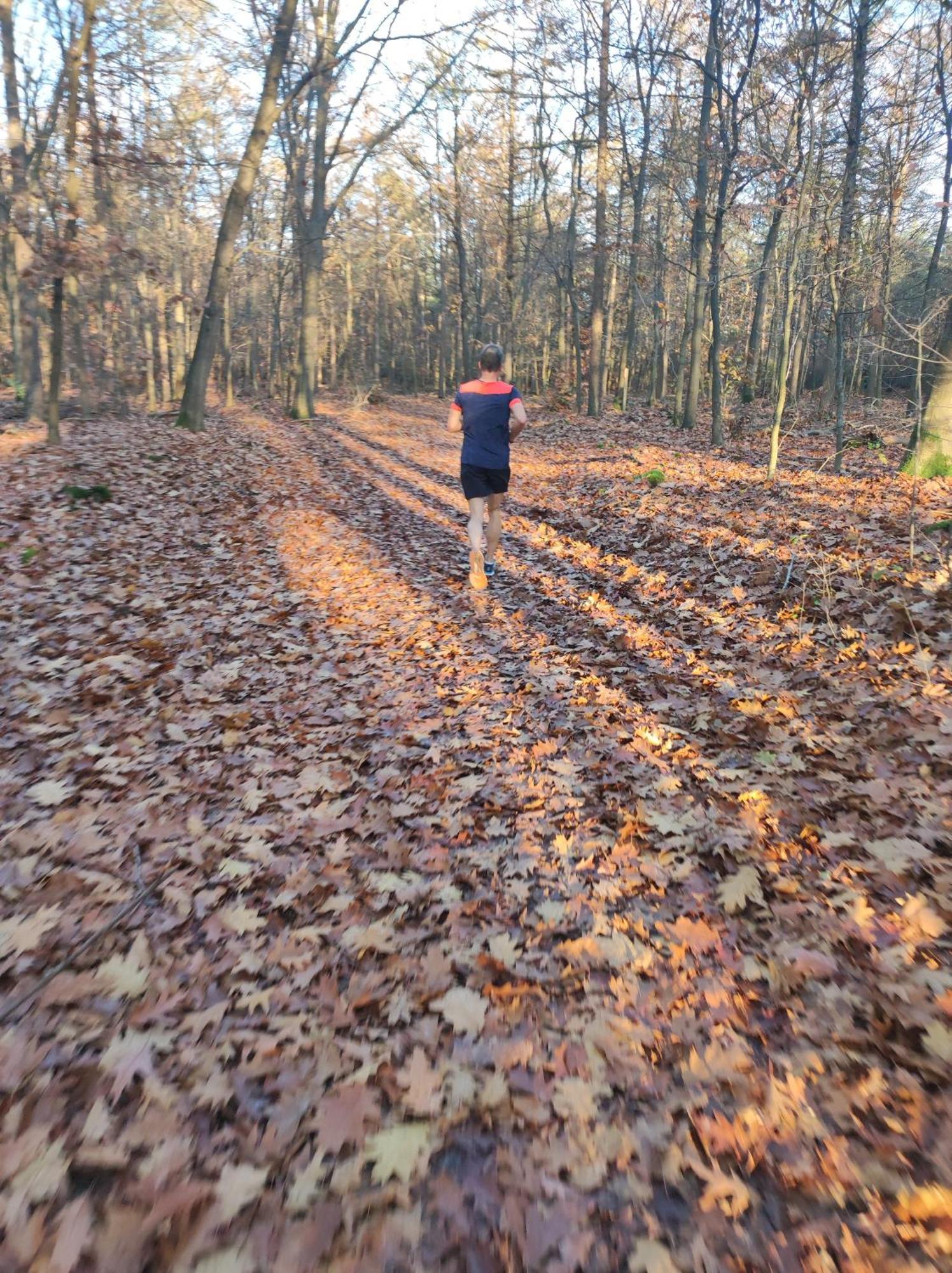 Poort De Veluwe Chalet
